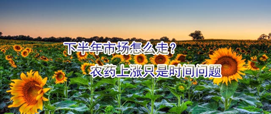 下半年市場怎么走？農(nóng)藥上漲只是時間問題