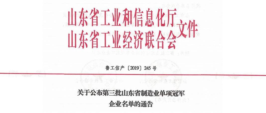 集團(tuán)榮獲山東省第三屆制造業(yè)“單項(xiàng)冠軍”企業(yè)榮譽(yù)稱號