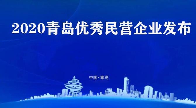 喜訊！海利爾藥業(yè)集團榮獲2020青島優(yōu)秀民營企業(yè)