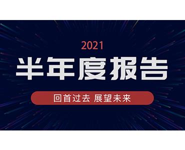 海利爾藥業(yè)集團(tuán)2021年半年度報(bào)告